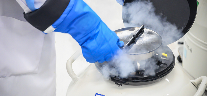 cryogenic supplier