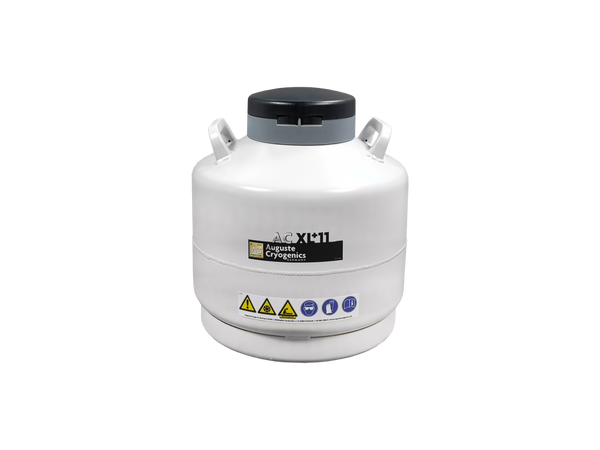 AC XL+11